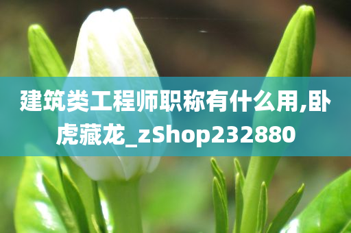 建筑类工程师职称有什么用,卧虎藏龙_zShop232880