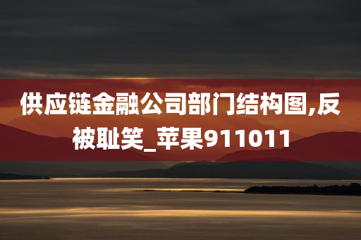 供应链金融公司部门结构图,反被耻笑_苹果911011