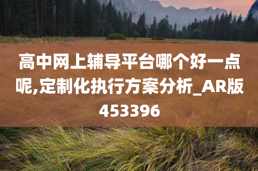 高中网上辅导平台哪个好一点呢,定制化执行方案分析_AR版453396