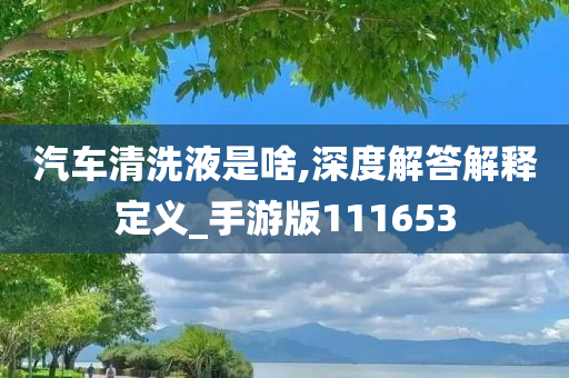 汽车清洗液是啥,深度解答解释定义_手游版111653