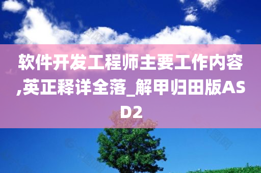 软件开发工程师主要工作内容,英正释详全落_解甲归田版ASD2