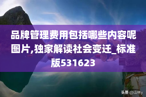 品牌管理费用包括哪些内容呢图片,独家解读社会变迁_标准版531623