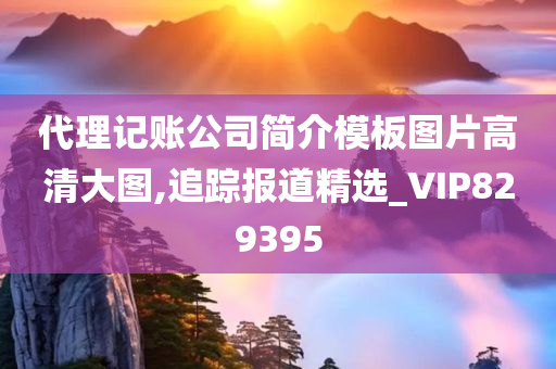 代理记账公司简介模板图片高清大图,追踪报道精选_VIP829395