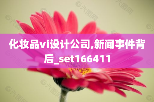 化妆品vi设计公司,新闻事件背后_set166411