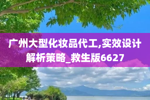 广州大型化妆品代工,实效设计解析策略_救生版6627