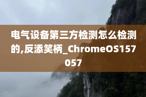 电气设备第三方检测怎么检测的,反添笑柄_ChromeOS157057