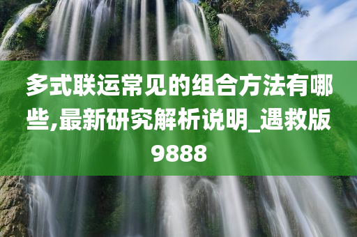 多式联运常见的组合方法有哪些,最新研究解析说明_遇救版9888