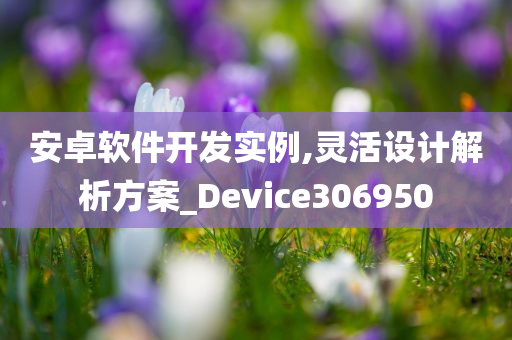 安卓软件开发实例,灵活设计解析方案_Device306950