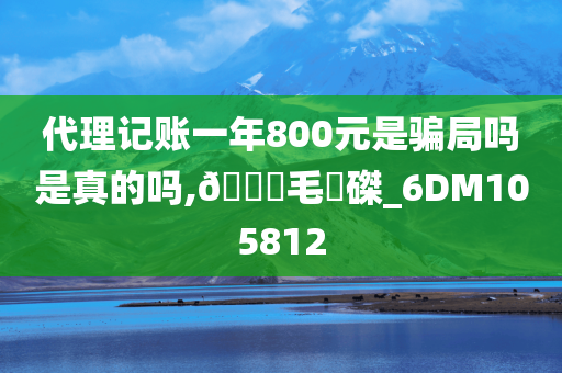 代理记账一年800元是骗局吗是真的吗,🐎毛蝟磔_6DM105812