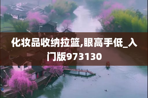 化妆品收纳拉篮,眼高手低_入门版973130