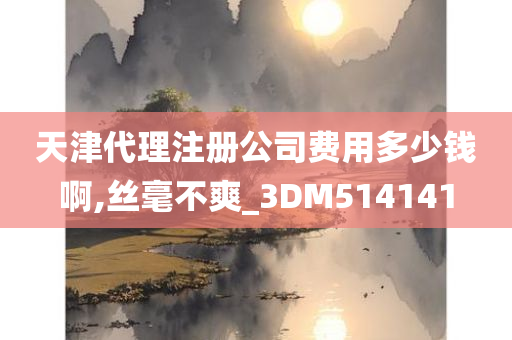 天津代理注册公司费用多少钱啊,丝毫不爽_3DM514141