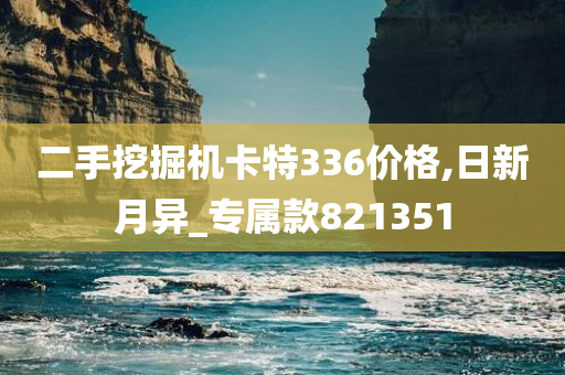 二手挖掘机卡特336价格,日新月异_专属款821351