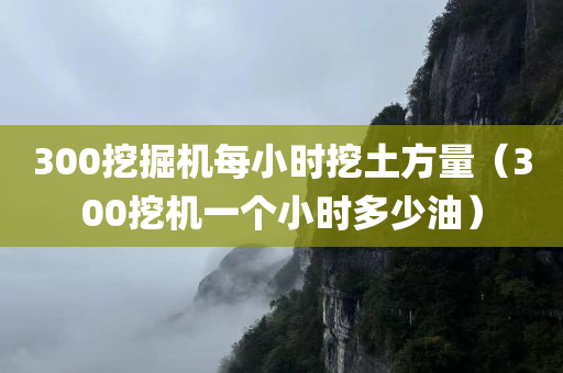 300挖掘机每小时挖土方量（300挖机一个小时多少油）