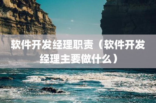 软件开发经理职责（软件开发经理主要做什么）