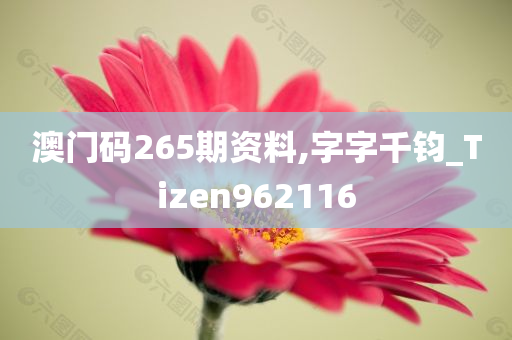 澳门码265期资料,字字千钧_Tizen962116