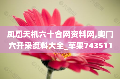 凤凰天机六十合网资料网,奥门六开采资料大全_苹果743511