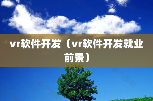 vr软件开发（vr软件开发就业前景）