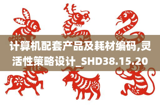 计算机配套产品及耗材编码,灵活性策略设计_SHD38.15.20