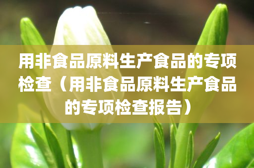 用非食品原料生产食品的专项检查（用非食品原料生产食品的专项检查报告）