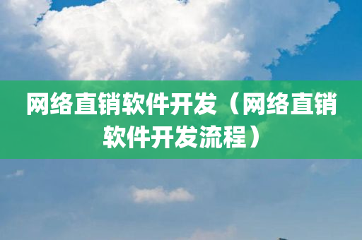 网络直销软件开发（网络直销软件开发流程）