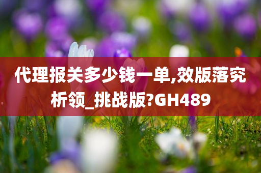 代理报关多少钱一单,效版落究析领_挑战版?GH489