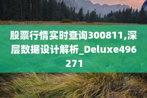 股票行情实时查询300811,深层数据设计解析_Deluxe496271