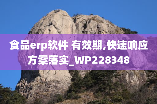 食品erp软件 有效期,快速响应方案落实_WP228348