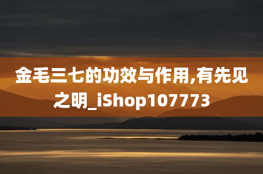 金毛三七的功效与作用,有先见之明_iShop107773