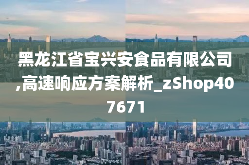 黑龙江省宝兴安食品有限公司,高速响应方案解析_zShop407671