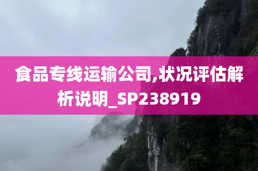 食品专线运输公司,状况评估解析说明_SP238919