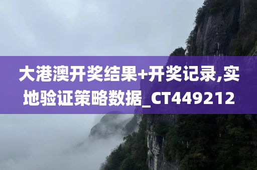 大港澳开奖结果+开奖记录,实地验证策略数据_CT449212