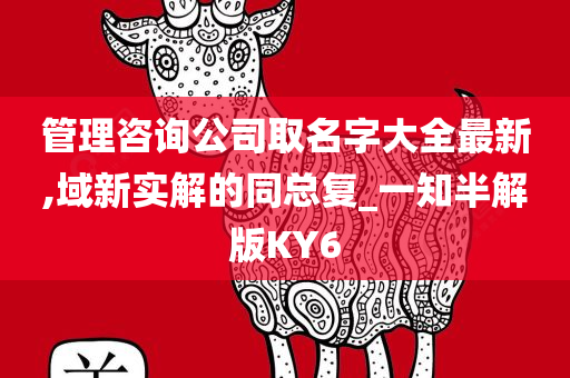 管理咨询公司取名字大全最新,域新实解的同总复_一知半解版KY6