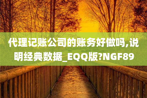 代理记账公司的账务好做吗,说明经典数据_EQQ版?NGF89