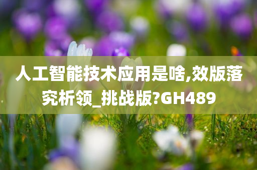 人工智能技术应用是啥,效版落究析领_挑战版?GH489