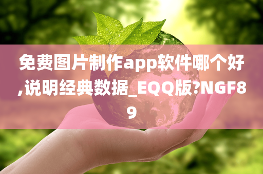 免费图片制作app软件哪个好,说明经典数据_EQQ版?NGF89