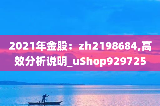 2021年金股：zh2198684,高效分析说明_uShop929725