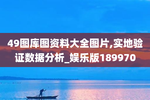 49图库图资料大全图片,实地验证数据分析_娱乐版189970