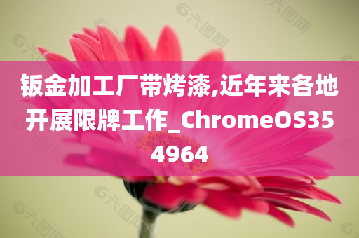 钣金加工厂带烤漆,近年来各地开展限牌工作_ChromeOS354964