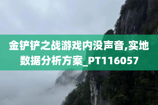 金铲铲之战游戏内没声音,实地数据分析方案_PT116057