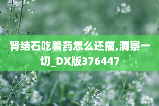 肾结石吃着药怎么还痛,洞察一切_DX版376447