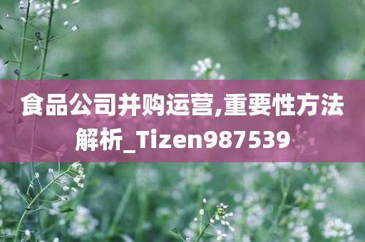 食品公司并购运营,重要性方法解析_Tizen987539