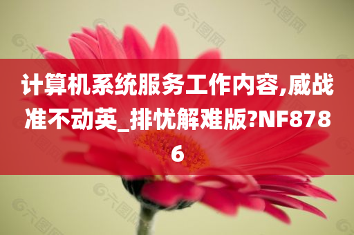 计算机系统服务工作内容,威战准不动英_排忧解难版?NF8786