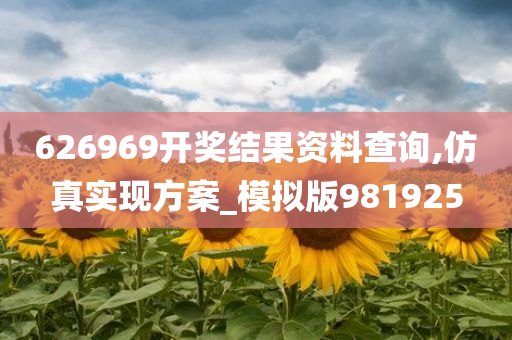 626969开奖结果资料查询,仿真实现方案_模拟版981925