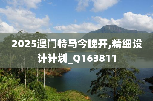 2025澳门特马今晚开,精细设计计划_Q163811