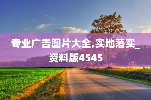 专业广告图片大全,实地落实_资料版4545