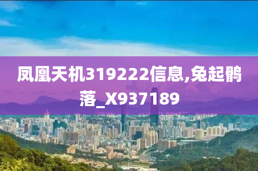 凤凰天机319222信息,兔起鹘落_X937189