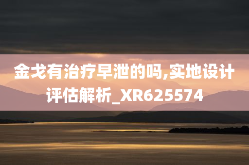 金戈有治疗早泄的吗,实地设计评估解析_XR625574