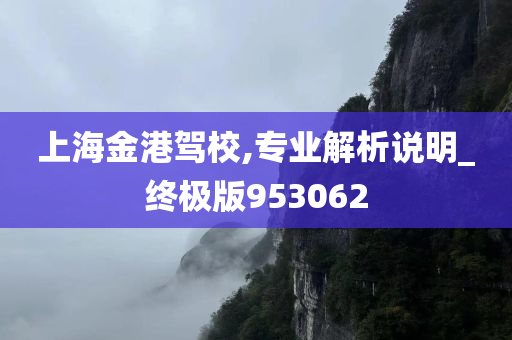 上海金港驾校,专业解析说明_终极版953062