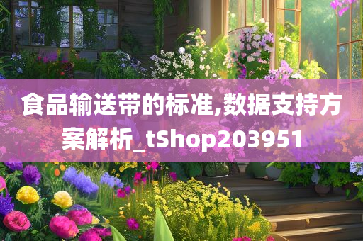 食品输送带的标准,数据支持方案解析_tShop203951