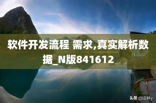 软件开发流程 需求,真实解析数据_N版841612